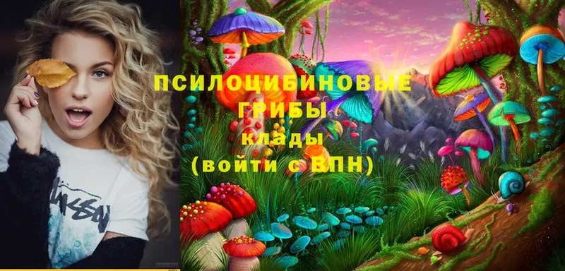 Галлюциногенные грибы MAGIC MUSHROOMS  Нижнекамск 